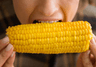 Photo of Corn E.