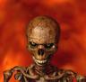 Photo of Skeletony B.