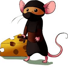 photo of Mouse S.