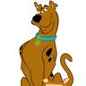 Photo of Scooby D.