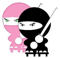 photo of Two-Ninjas D.