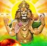 Photo of Narasimha N.