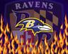 Photo of Ravens L.