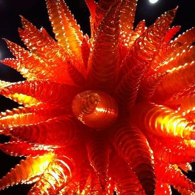 photo of Chihuly B.