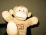 Photo of Monkey M.