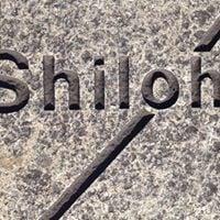 photo of Shiloh C.