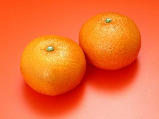 photo of Tangerine T.