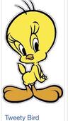 Photo of Tweety S.