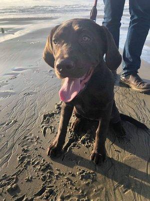 Beach adventure!