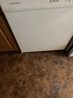 Kitchen floor