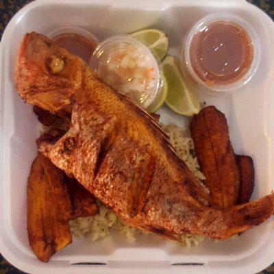 Fry fish with cilantro rice plantain and salsa