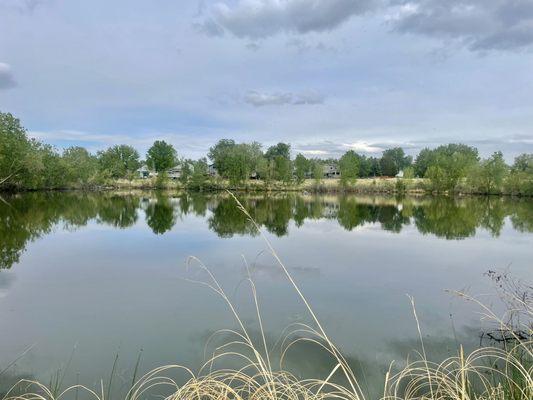 Mushroom Pond