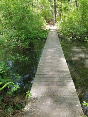 Boardwalks over wet areas and small streams