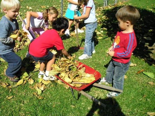 Raking leaves in the Fall.