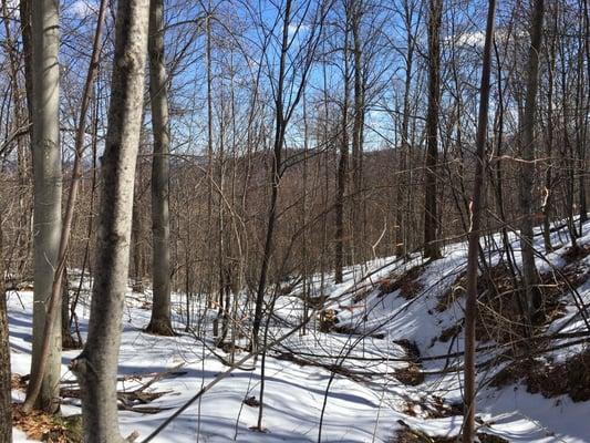 When you embrace nature with Yoga you'll find the energy to be so much more powerful.   Adirondack Mountains