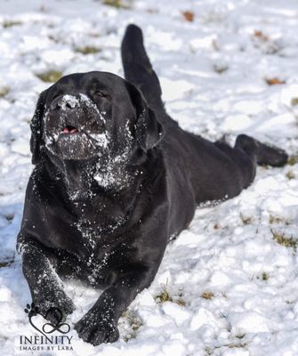 Loving the snow