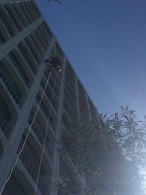 Mid rise Window Cleaning for property management companies