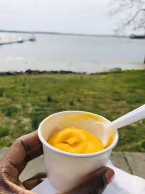 Mango and Coconut Sorbet