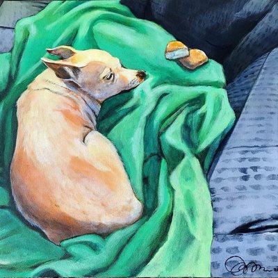 Newty the Chihuahua - Pet Portraits by Jenna Bowles