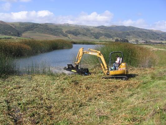 Wetland Mowing