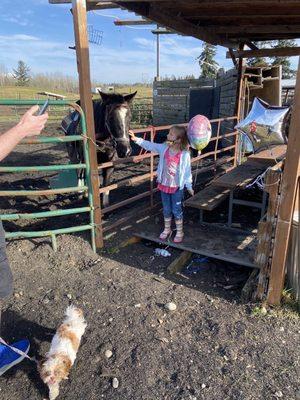 A birthday girl enjoying a horse