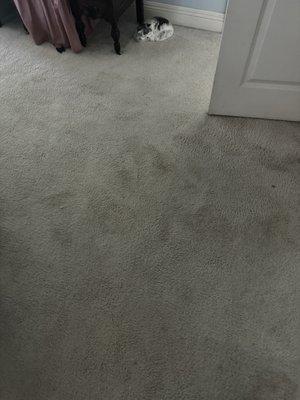 This is where the spots on the carpet popped up after they cleaned it. This is after I scrubbed it.