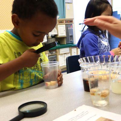 Science exploration for preschool children