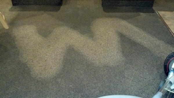 Commercial carpet that has been restored to its original color and condition.