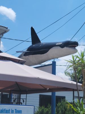 Cool killer whale sculpture at restaurant's entrance