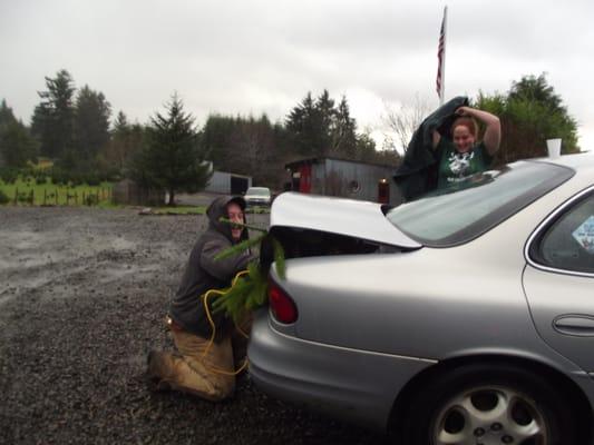 Helping us load our tree for the trip home