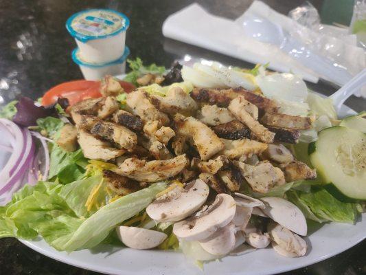 Grilled chicken salad.