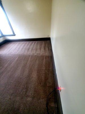 Carpet cleaning