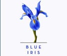 Blue Iris Spa & Salon