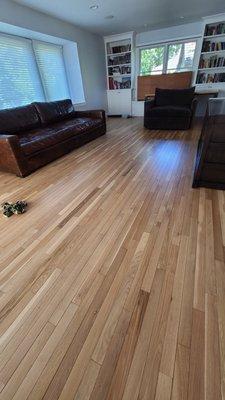 Dust Free Flooring, Inc