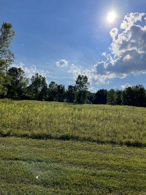 Willow Metro Park