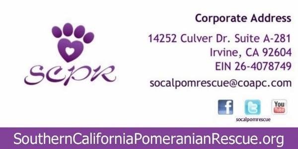 New contact information since 2011. www.socalpomrescue.org