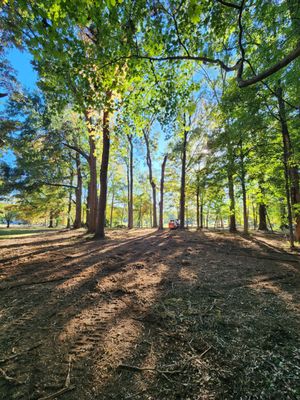 Carolina Land Clearing & Development