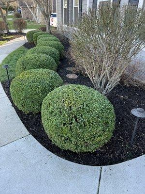 Shrub care and mulch services available