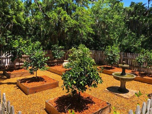 Citrus Garden