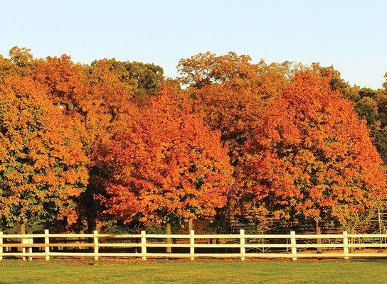 Pike County in the Fall.