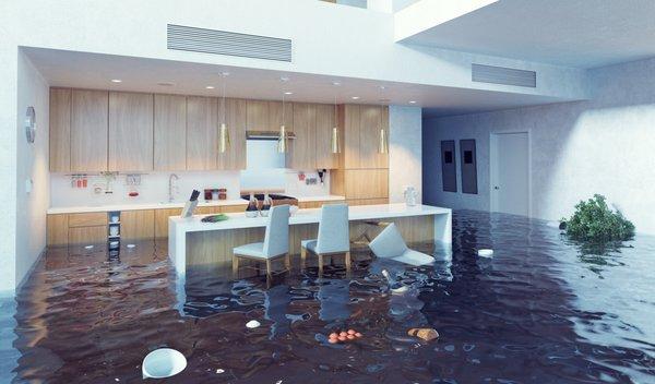 Water & Flood Damage 24/7 Emergency Service