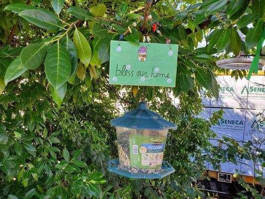 One bird feeder in the sanctuary I made for the squirrels, birds, and critters where I live.