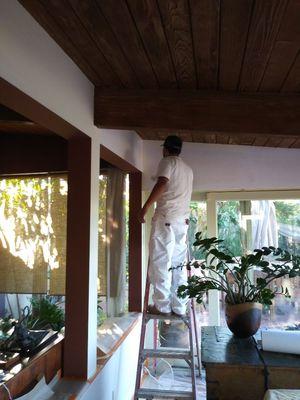 John's Professional Painters