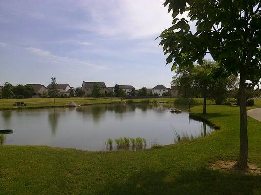 The pond at Franks's Park