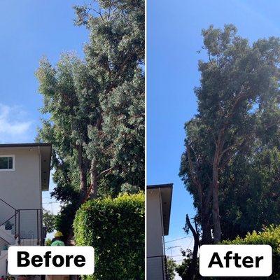 Clearing branches hanging over a home