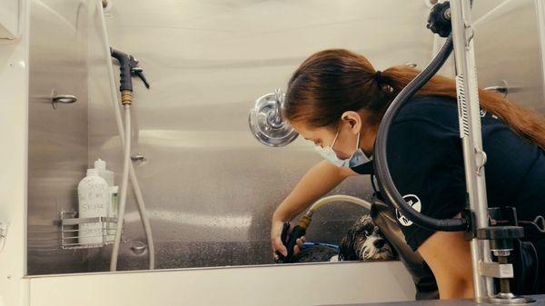 Washing inside The Bark Shoppe Mobile Grooming Truck Commercial Still Photo