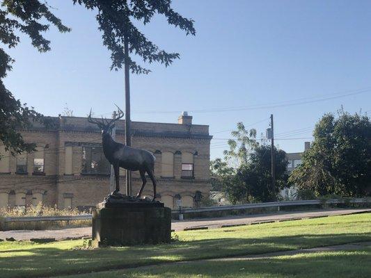 Bronze elk out front