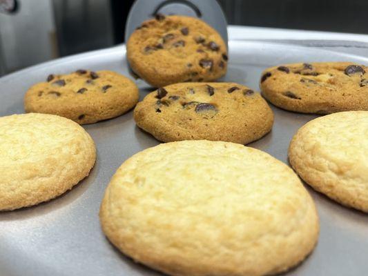 COOKIES! Sugar and Chocolate Chip!