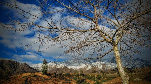 El Dorado Ranch Park,Yucaipa,California is beautiful throughout the year-especially after a clearing winter storm! A must see!