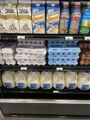 Dairy options